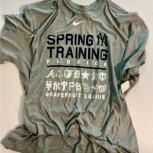 Nike Gray Spring Training Tee